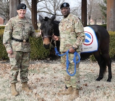 Maj. Gen. Flem B. "Donnie" Walker, Jr., commanding general, left and Command Sgt. Maj. Bernard P. Smalls, Sr., both of the 1st Theater Sustainment Command, pose with Sgt. Blackjack, the official 1st mascot before the Assumption of Responsibility Ceremony, Jan 11. Smalls has been working as the CSM for the past 60 days and was officially recognized as the Command Sgt. Maj. for the 1st TSC.