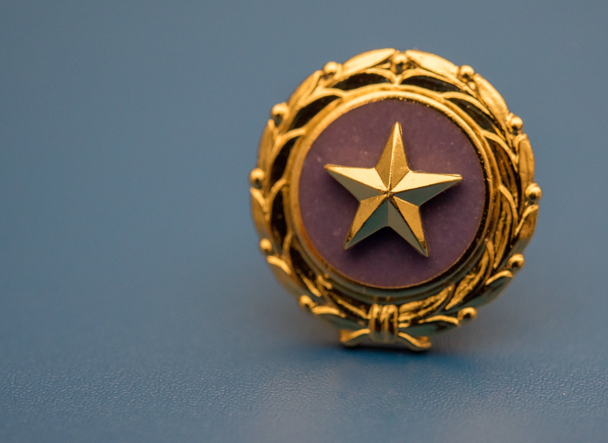 The Gold Star Family Member lapel pin was presented to U.S. Navy Commander Kerry Beasley at Joint Base Langley-Eustis, Virginia, Jan. 9, 2019 by 633rd Air Base Wing Commander, Colonel Sean K. Tyler.