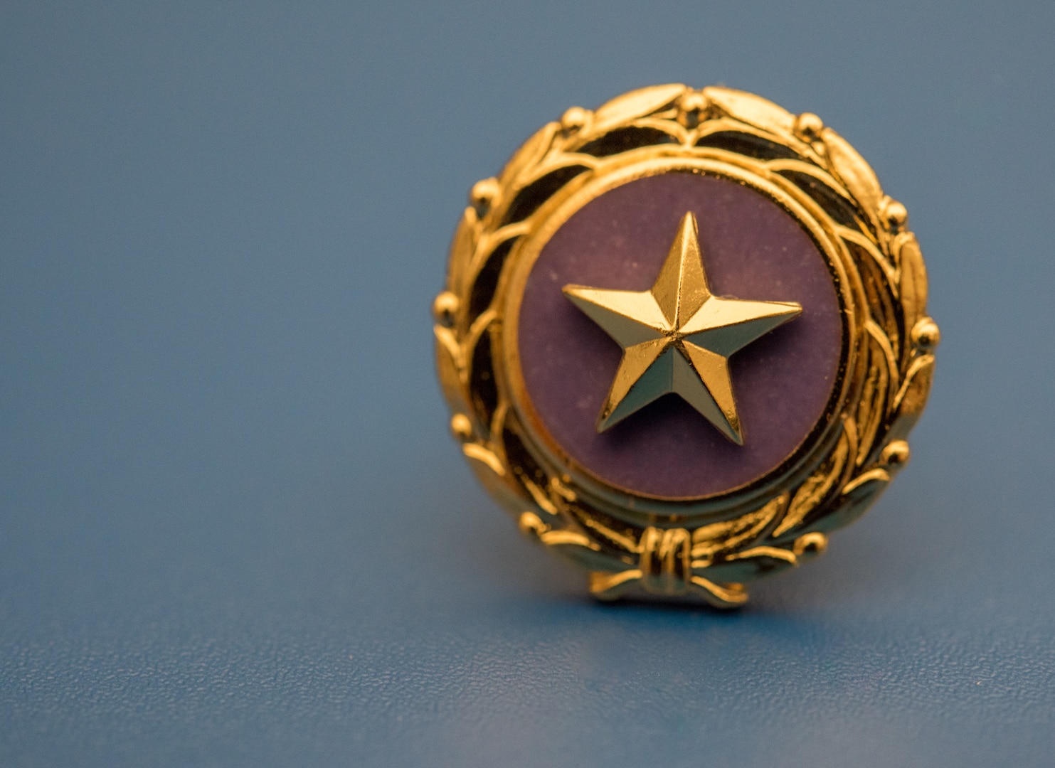 The Gold Star Family Member lapel pin was presented to U.S. Navy Commander Kerry Beasley at Joint Base Langley-Eustis, Virginia, Jan. 9, 2019 by 633rd Air Base Wing Commander, Colonel Sean K. Tyler.