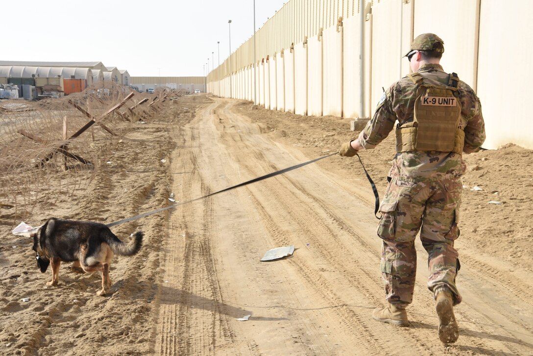 Staff Sgt. David Bafaro, 380th Expeditionary Security Forces Squadron military working dog handler, performs a search of an area with MWD Simon during a joint training event Jan. 15, 2019 at Al Dhafra Air Base, United Arab Emirates.