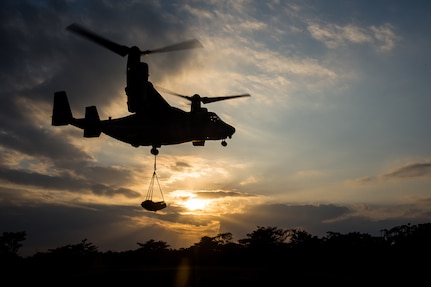 Landing Support Company Completes Helicopter Support Team Training