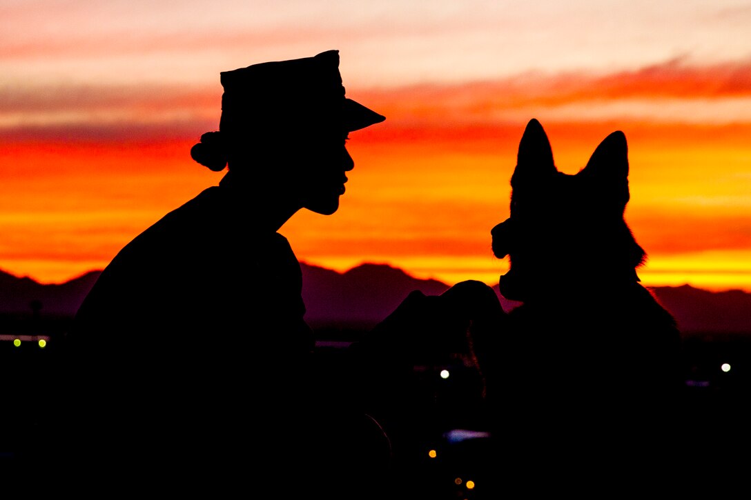 A Marine kneels next to a dog.