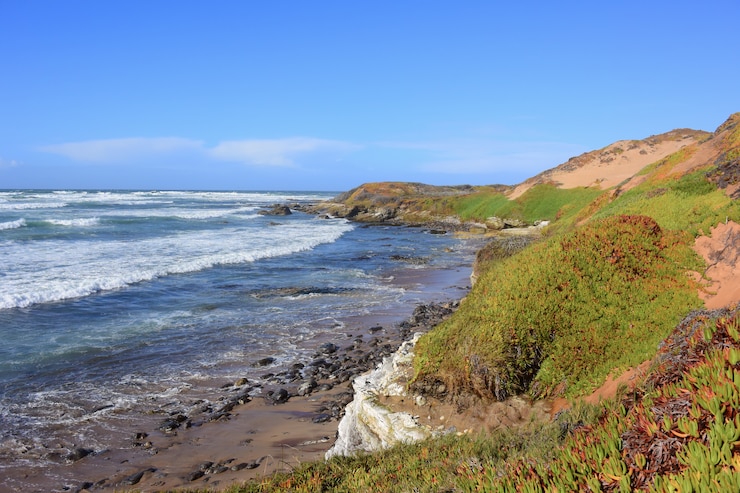 Seal Beach at Vandenberg AFB