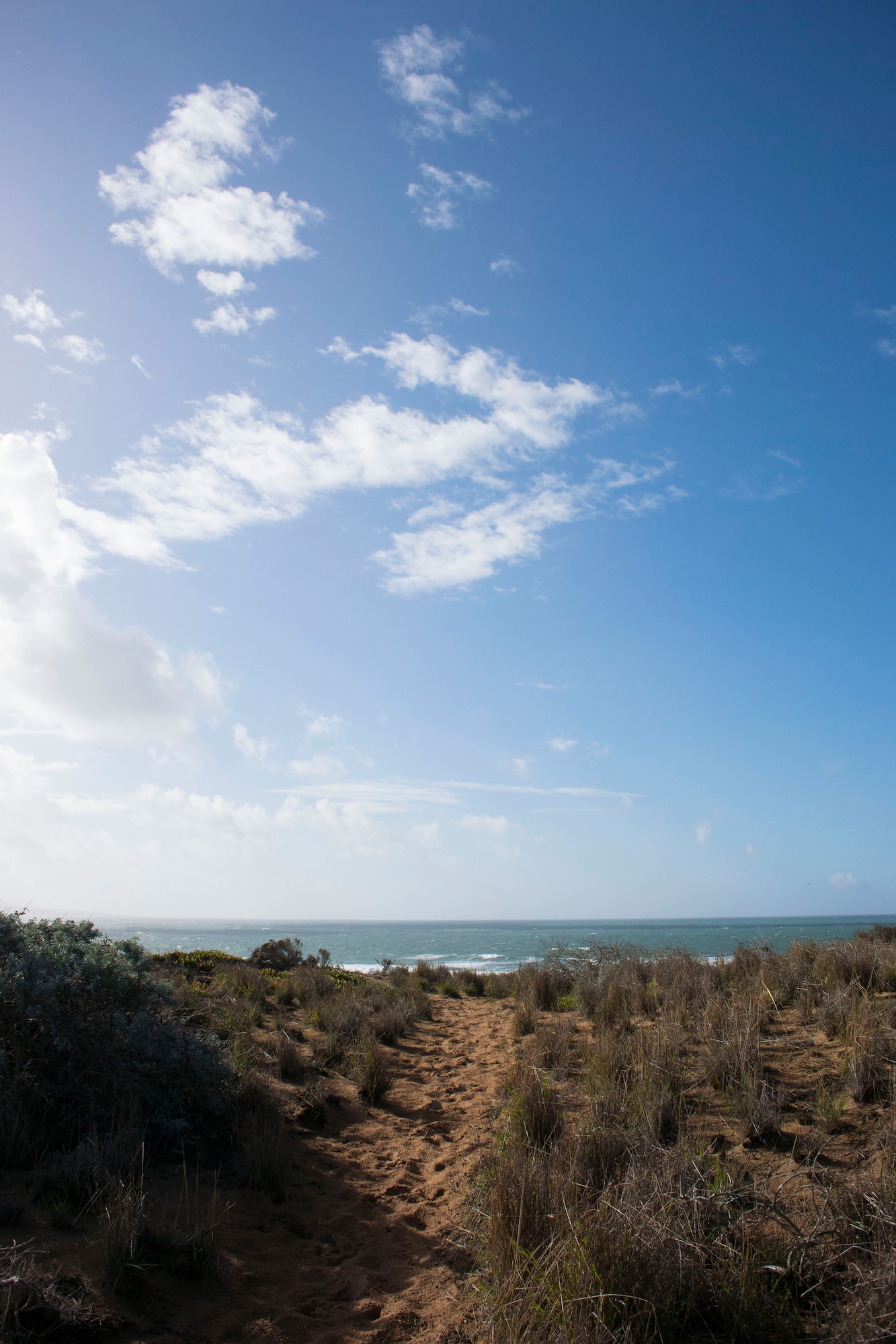 Seal Beach Trail at Vandenberg AFB