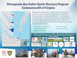 Chesapeake Bay Native Oyster Recovery Program Commonwealth of Virginia Tributaries