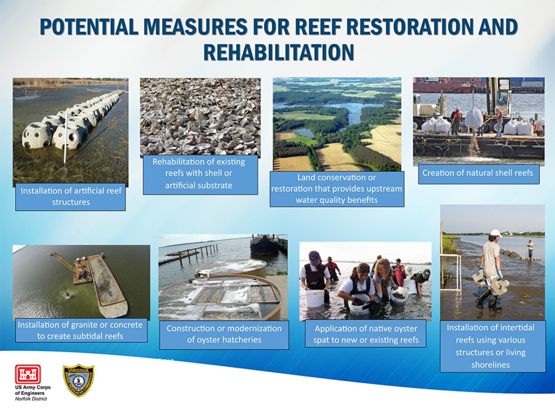 Potential Measures for Reef Restoration and Rehabilitation