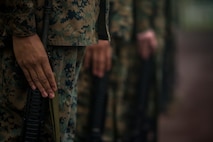 Sailors stand at attention during a drill competition Jan. 16, 2019 at Roberts Field, Camp Kinser, Okinawa, Japan. Close order drill is conducted by the Navy and Marine Corps to teach simple formations, discipline and small unit leadership. This is the first drill competition Supply Battalion, Combat Logistics Regiment 35 has hosted and it will now be held quarterly. (U.S. Marine Corps photo by Lance Cpl. Jamin M. Powell)
