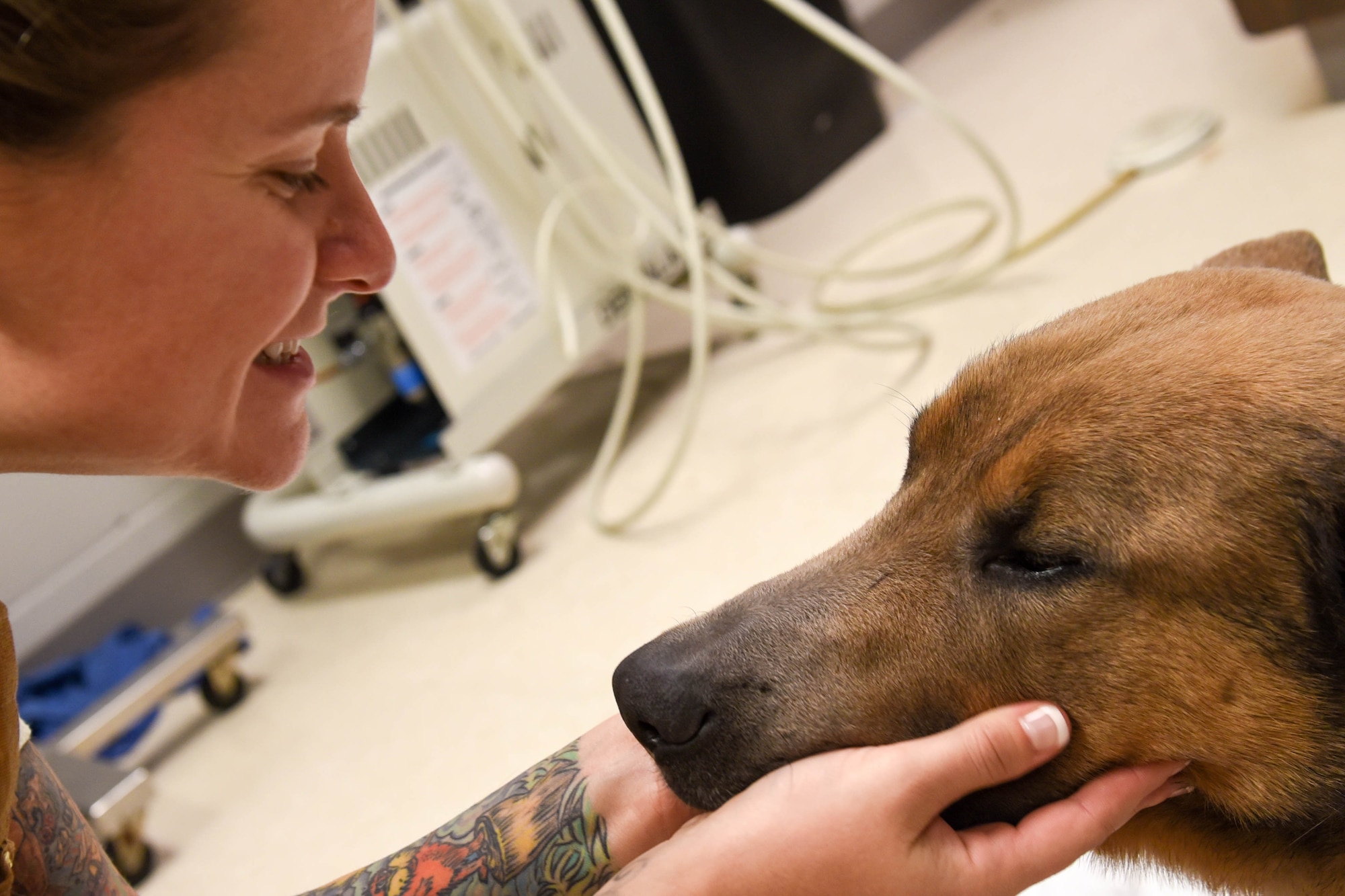Staff Sgt. Samantha Champion, a 28th Security Forces Squadron military working dog handler, gives MWD Lezer a greeting as he starts waking up after his procedure at the veterinary clinic on Ellsworth Air Force Base, S.D., Dec. 4, 2018. The handlers have very close bonds with their animals, which helps them work to their fullest potential.  (U.S. Air Force photo by Airman John Ennis)