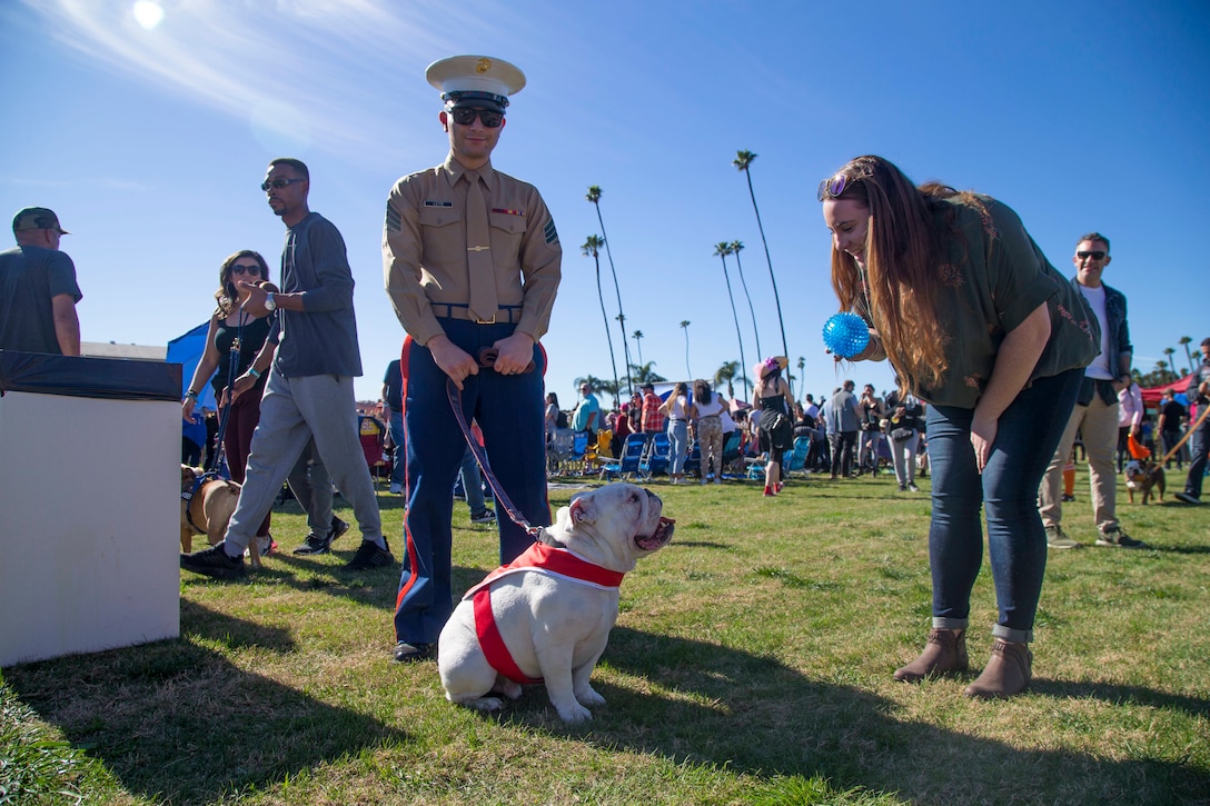 A woman gives a toy to a dog held on a leash by a Marine.