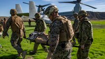 U.S. Marines and Sailors assigned to 1st Marine Logistics Group and Japan Ground Self-Defense Force Soldiers with 1st Amphibious Rapid Development Regiment, Move simulated casualties to a MV-22B Osprey tiltrotor aircraft for medical evacuation training during Iron Fist,