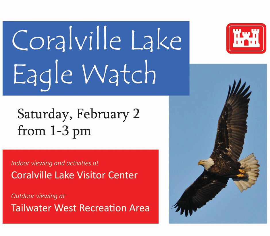 Coralville Lake Eagle Watch