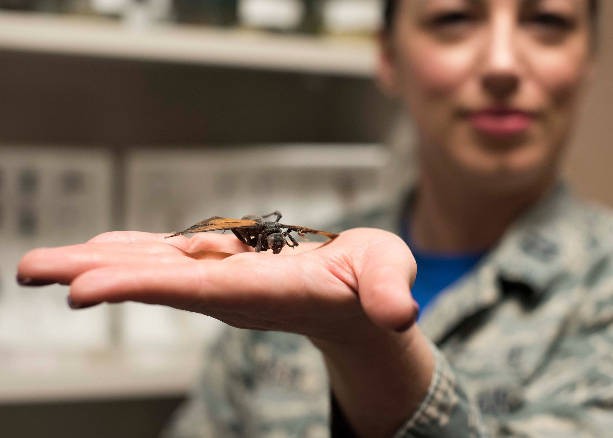 Capt. Sarah Hagan, 49th Medical Group Public Health flight commander, poses with a tarantula hawk, which is an insect species native to New Mexico, Jan. 11, 2019, on Holloman Air Force Base, N.M. The Public Health flight oversees 18 programs across the 49th Wing. One of their missions is pest control and testing for insect-borne illness. (U.S. Air Force photo by Staff Sgt. BreeAnn Sachs)