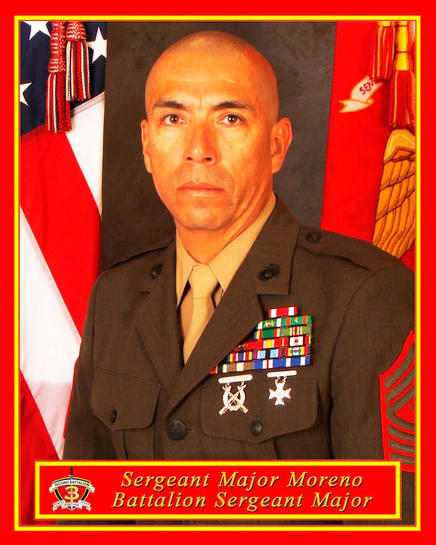 Sergeant Major, 2d Battalion, 3d Marines