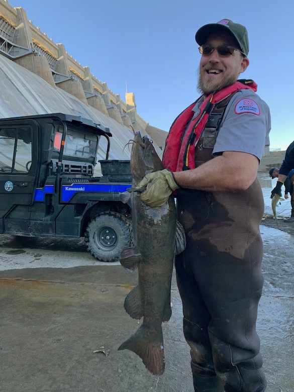 JOHN MARTIN RESERVOIR, Colo. -- USACE park ranger Christopher Gauger displays a flathead catfish while transferring it to the hatchery truck to be relocated in the reservoir upstream, Nov. 1, 2018.