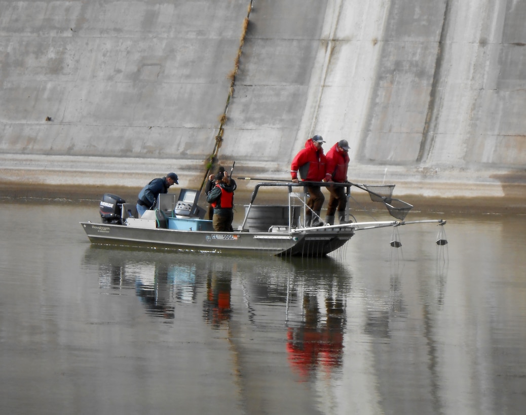 JOHN MARTIN RESERVOIR, Colo. -- Colorado Parks & Wildlife generously offered to assist USACE with this project by lending their electrofishing boat, a hatchery truck, and the expertise of their aquatic biologists and park rangers. The success of this project was due in large part to CPW.