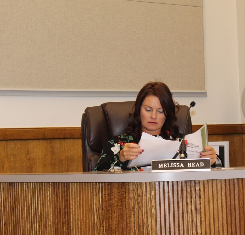 Councilmember Melissa Head participates in a regularly scheduled study session at City Hall in Council Bluffs, Iowa Jan. 28, 2019. Head is also an attorney with the U.S. Army Corps of Engineers, Omaha District.