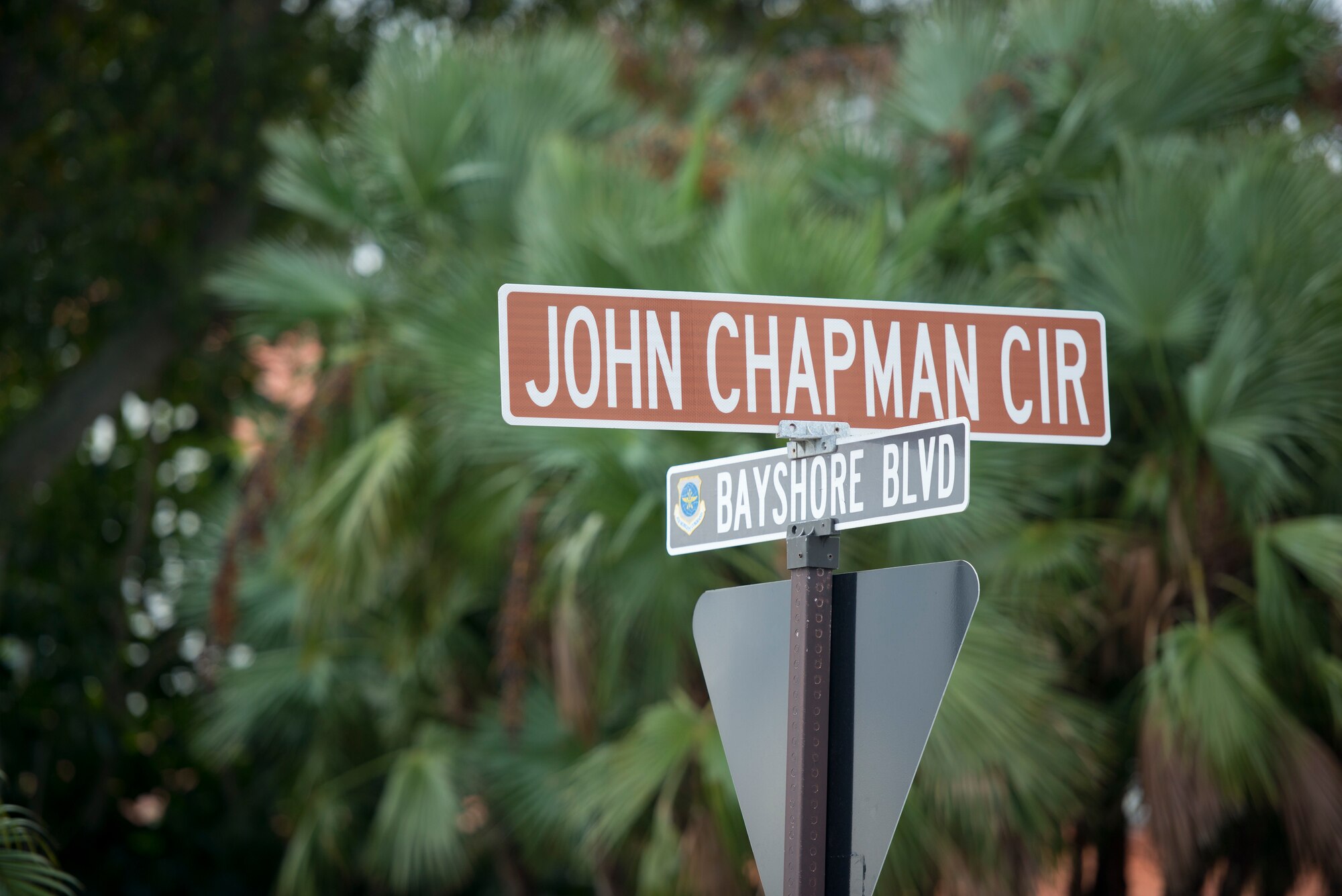 John Chapman Circle, formerly known as Staff Circle, was renamed to honor Master Sgt. John Chapman during a ceremony at MacDill Air Force Base, Fla., Jan. 30, 2019.