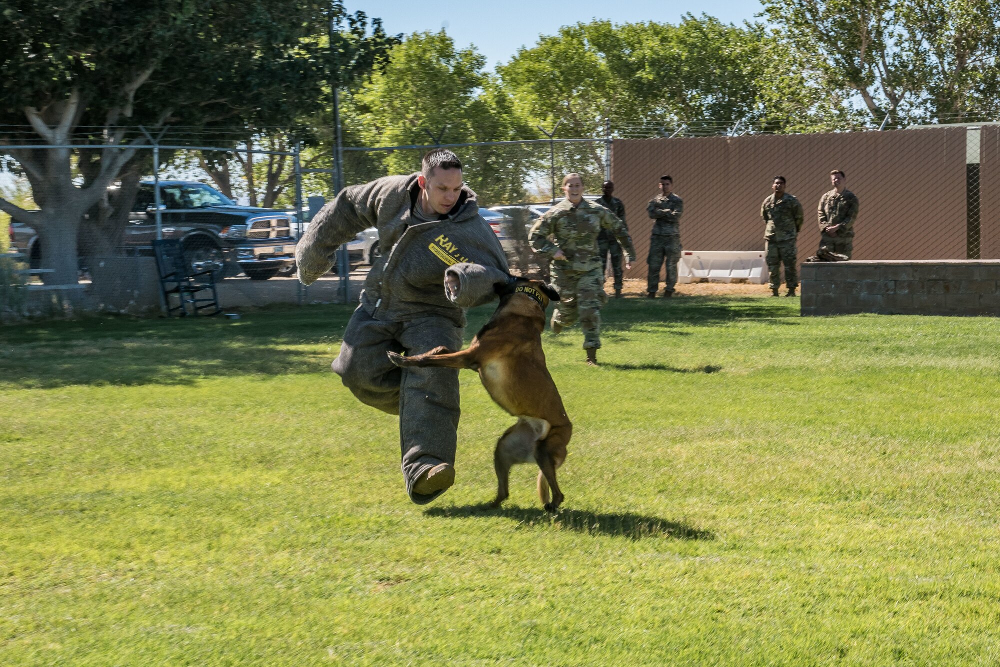 Chief Master Sgt. Ian Eishen, 412th Test Wing Command Chief, is subdued by a military working dog during a visit to the working dog kennels at Edwards Air Force Base, California, June 27. (U.S. Air Force photo by Matthew Williams)