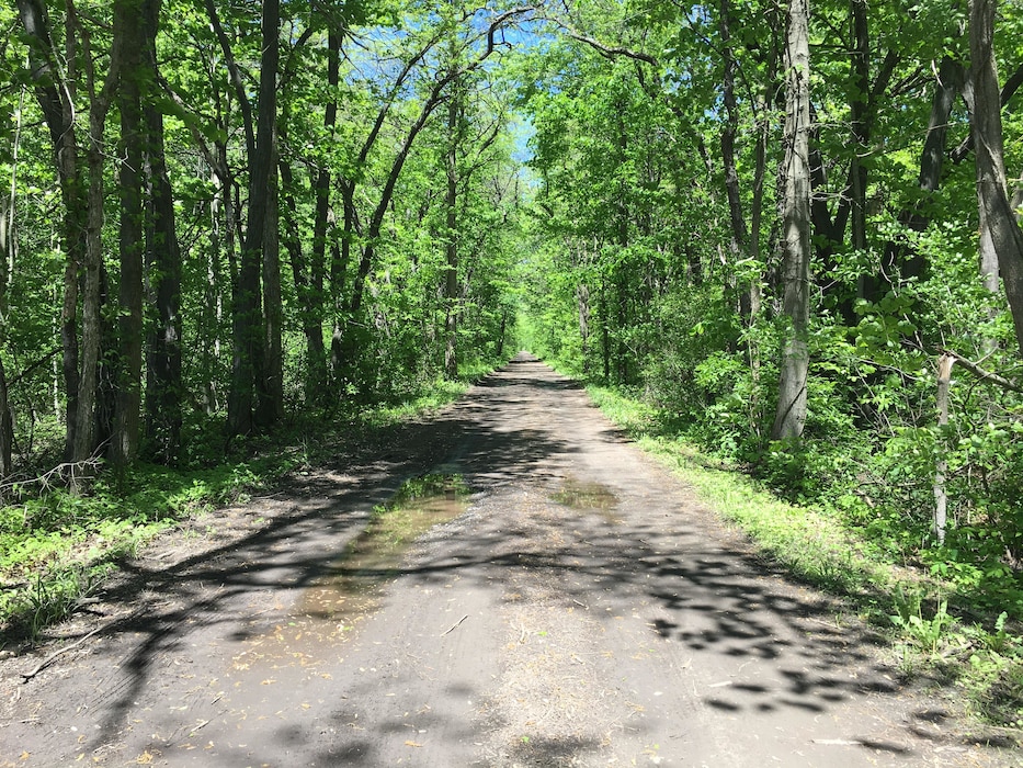 The U.S. Army Corps of Engineers, Buffalo District, is excited to begin the final remedial action to be conducted at the Lake Ontario Ordnance Works (LOOW) Formerly Utilized Defense Site, located in Niagara County, New York on July 8th 2019.  Site work is expected to finish in Late August 2019, with expected construction completion in September 2019.