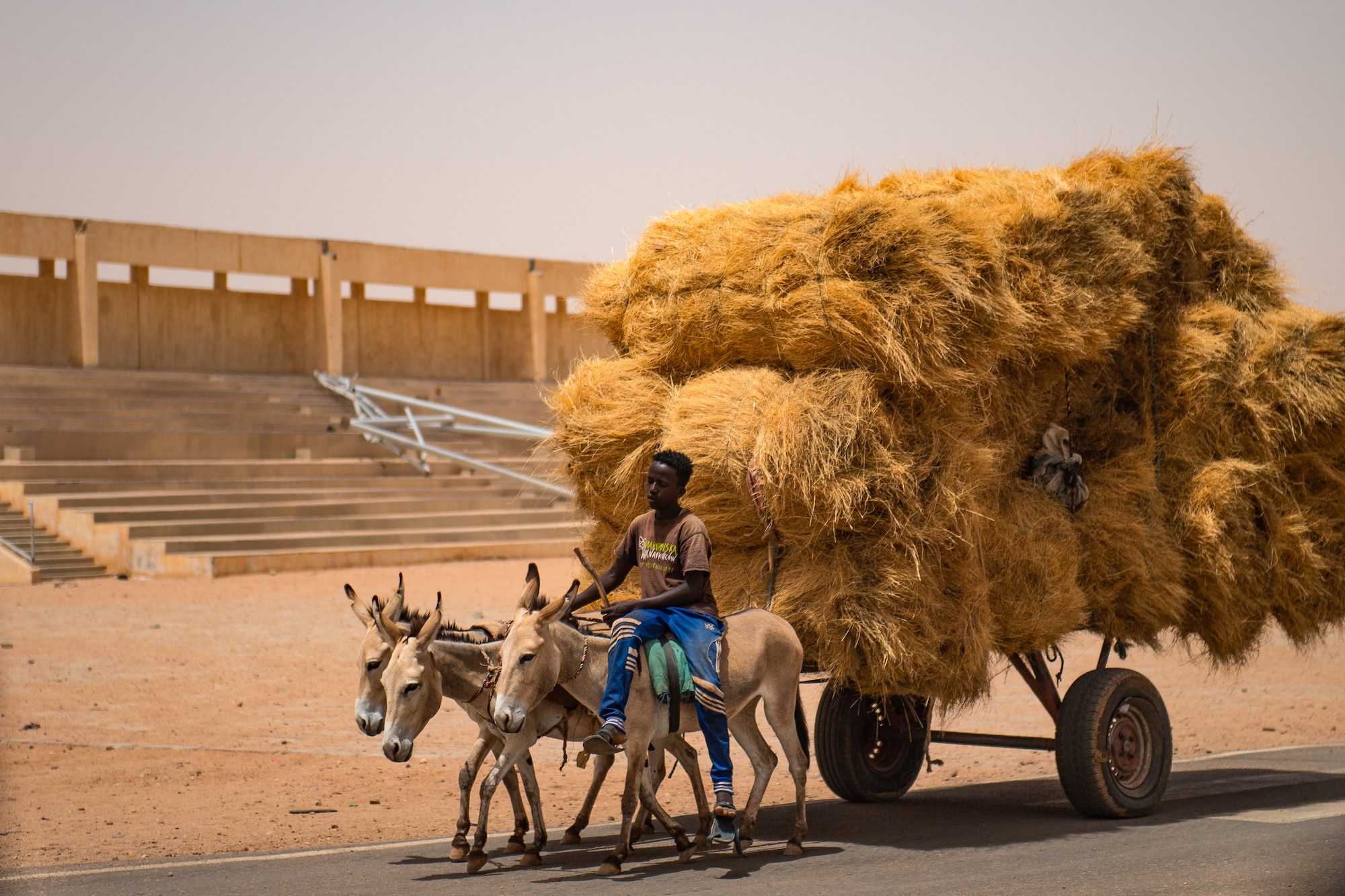 A Nigerien boy rides a donkey sidesaddle pulling straw through Agadez, Niger, June 27, 2019. Tourism was once prevalent in Agadez before the Tuareg rebellions of the late 20th and early 21st centuries. (U.S. Air Force photo by Staff Sgt. Devin Boyer)