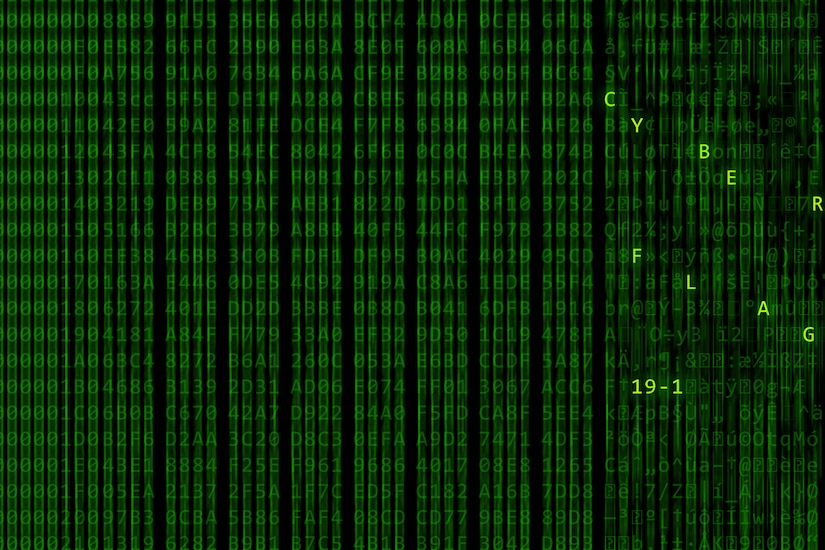 Green letters scroll on a computer screen, leaving a blur.  The letters "C Y B E R F L A G 19-1" are in bold.