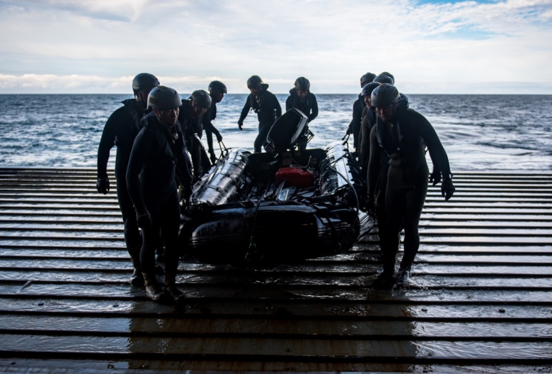 PACIFIC OCEAN (Feb. 1, 2019) – Japan Ground Self-Defense Force soldiers move a combat rubber raiding craft in the well deck of the amphibious transport dock ship USS Somerset (LPD 25) during Exercise Iron Fist 2019. Exercise Iron Fist 2019 is an annual, multilateral training exercise where U.S. and Japanese service members train together, share techniques, tactics and procedures to improve their combine operational capabilities. (U.S. Navy photo by Mass Communication Specialist 2nd Class Devin M. Langer)