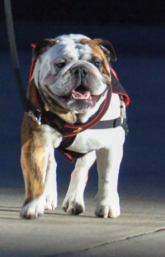 General Robert B. Neller, commandant of the Marine Corps, was the hosting official and the guest of honor was The Honorable Mr. Michael R. Pompeo, U.S. Secretary of State.