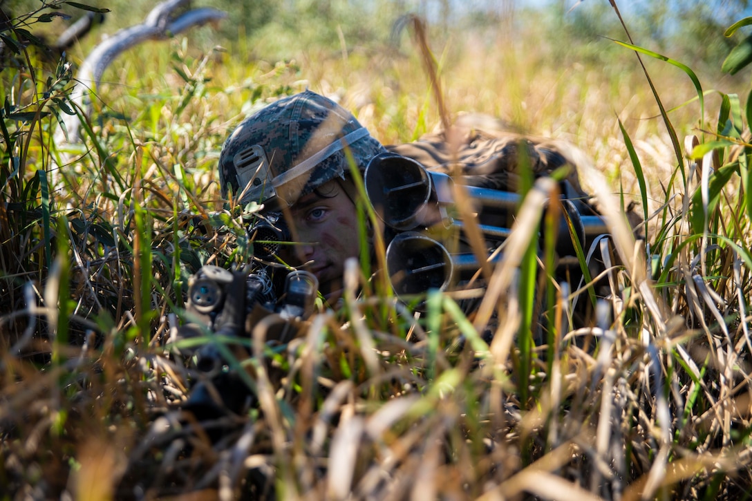 A Marine lies in a grassy field with his weapon pointed ahead.