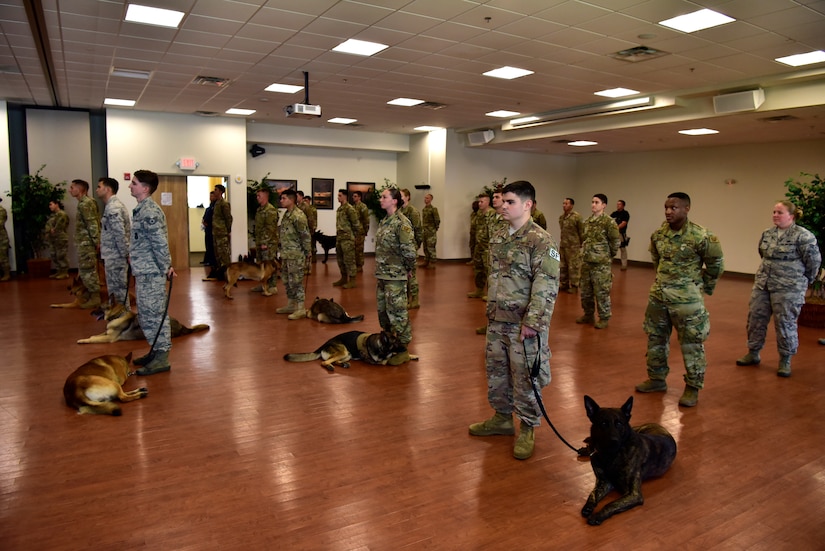 Military working dogs and handlers from the 11th Security Support Squadron attend a memorial service for the canine, Tommy, at the Community Commons on Joint Base Andrews, Md., July 3, 2019. Tommy was accepted into the MWD program in 2014 and clocked in countless hours of explosives detection. (U.S. Air Force photo by Airman 1st Class Noah Sudolcan)