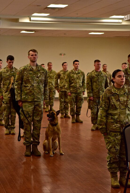 Military working dogs and handlers from the 11th Security Support Squadron attend a memorial service for canine, Tommy, at the Community Commons on Joint Base Andrews, Md., July 3, 2019. JBA has 27 dogs in their kennels, ranging from explosive detection to narcotics and patrol. (U.S. Air Force photo by Airman 1st Class Noah Sudolcan)