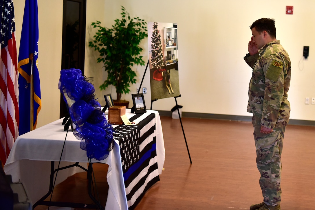Staff Sgt. Zachary McDaniel, 11th Security Support Squadron military working dog handler, salutes a memorial made for canine, Tommy, during a memorial service at the Community Commons on Joint Base Andrews, Md., July 3, 2019. McDaniel and Tommy served together for two years and went on one deployment. (U.S. Air Force photo by Airman 1st Class Noah Sudolcan)