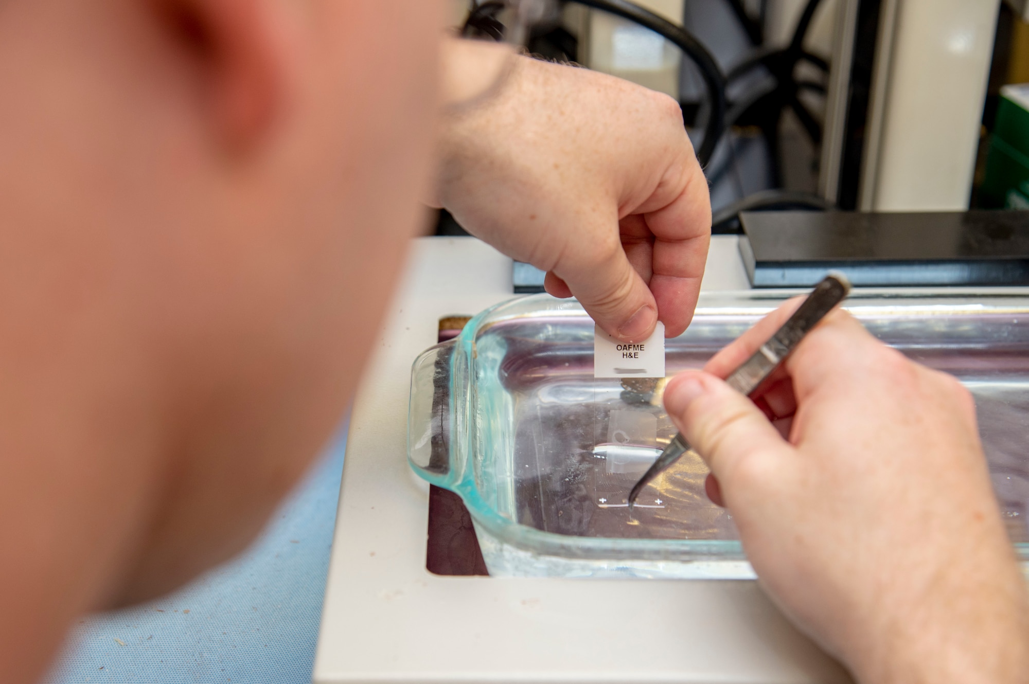 U.S. Navy Petty Officer 2nd Class Tyler Wiedmeyer, Armed Forces Medical Examiner System histotechnichian, prepares a tissue sample May 30, 2019. As the only forensic histotechnician in the military, it is Wiedmeyer’s job to ensure tissue samples are processed, cut and stained for diagnosis of cause of death, for AFMES and 13 MEs around the world. (U.S. Air Force photo by Staff Sgt. Nicole Leidholm) (Photo has been altered to protect patient privacy)