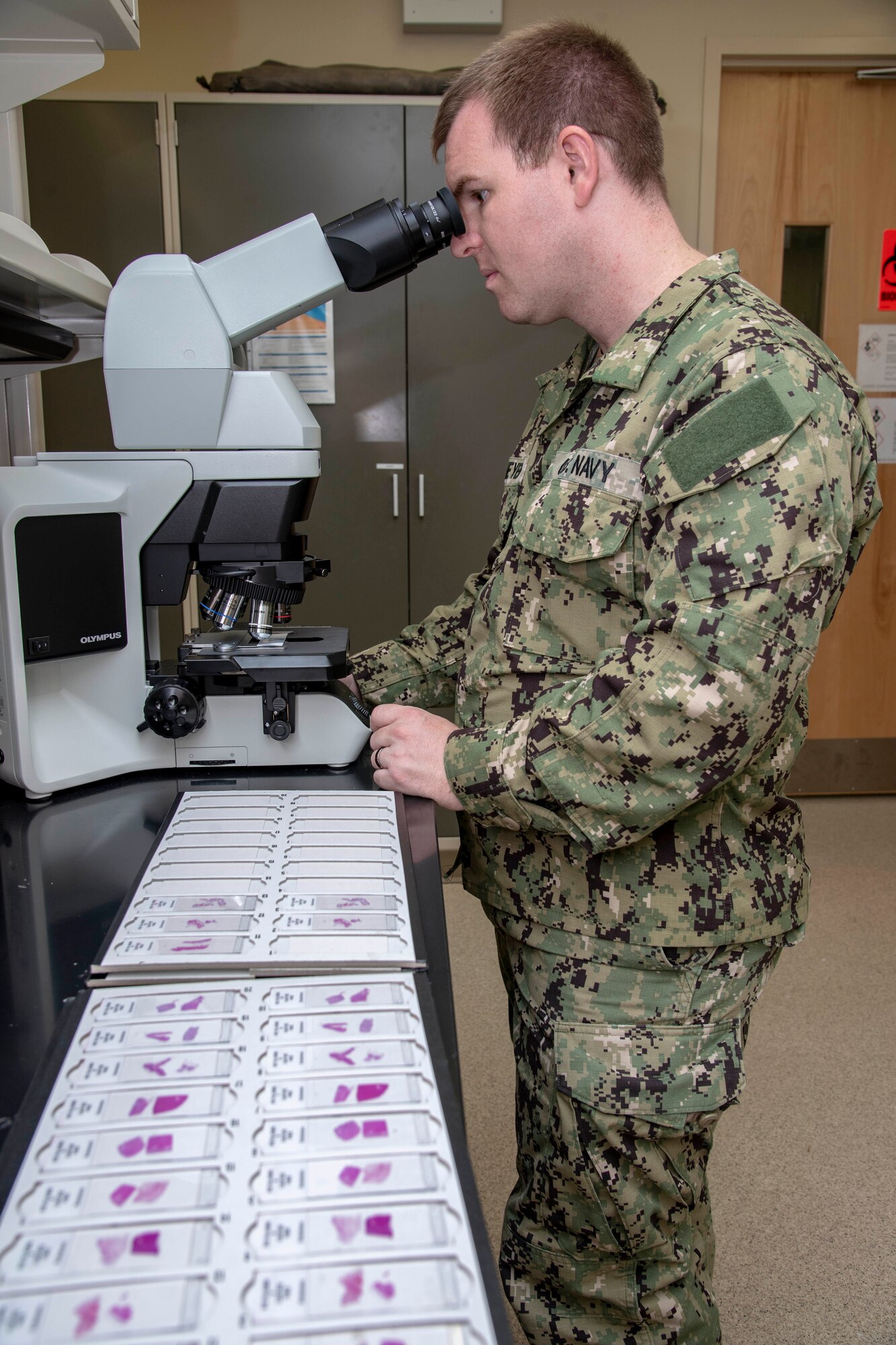 U.S. Navy Petty Officer 2nd Class Tyler Wiedmeyer, Armed Forces Medical Examiner System histotechnichian, looks at slides of tissues under a microscope before handing them off to a medical examiner June 6, 2019. The stained tissues help medical examiners see down to the cellular level for a  diagnosis of cause of death. (U.S. Air Force photo by Staff Sgt. Nicole Leidholm)