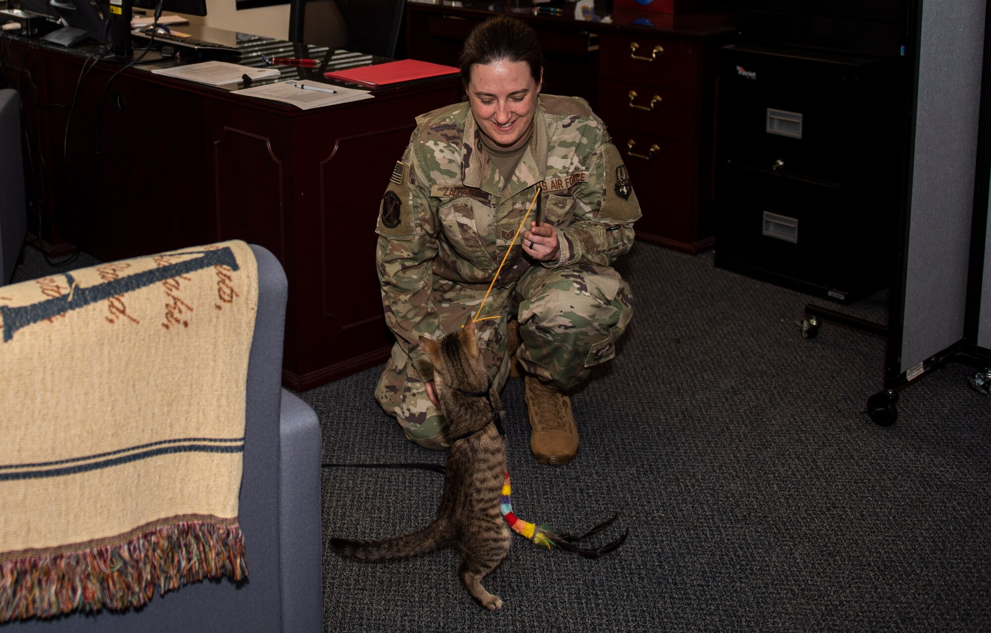 U.S. Air Force Tech. Sgt. Bethany Zachary, 609th Air Communications Squadron cyber management technician, plays with a kitten at Shaw Air Force Base, South Carolina, June 30, 2019.