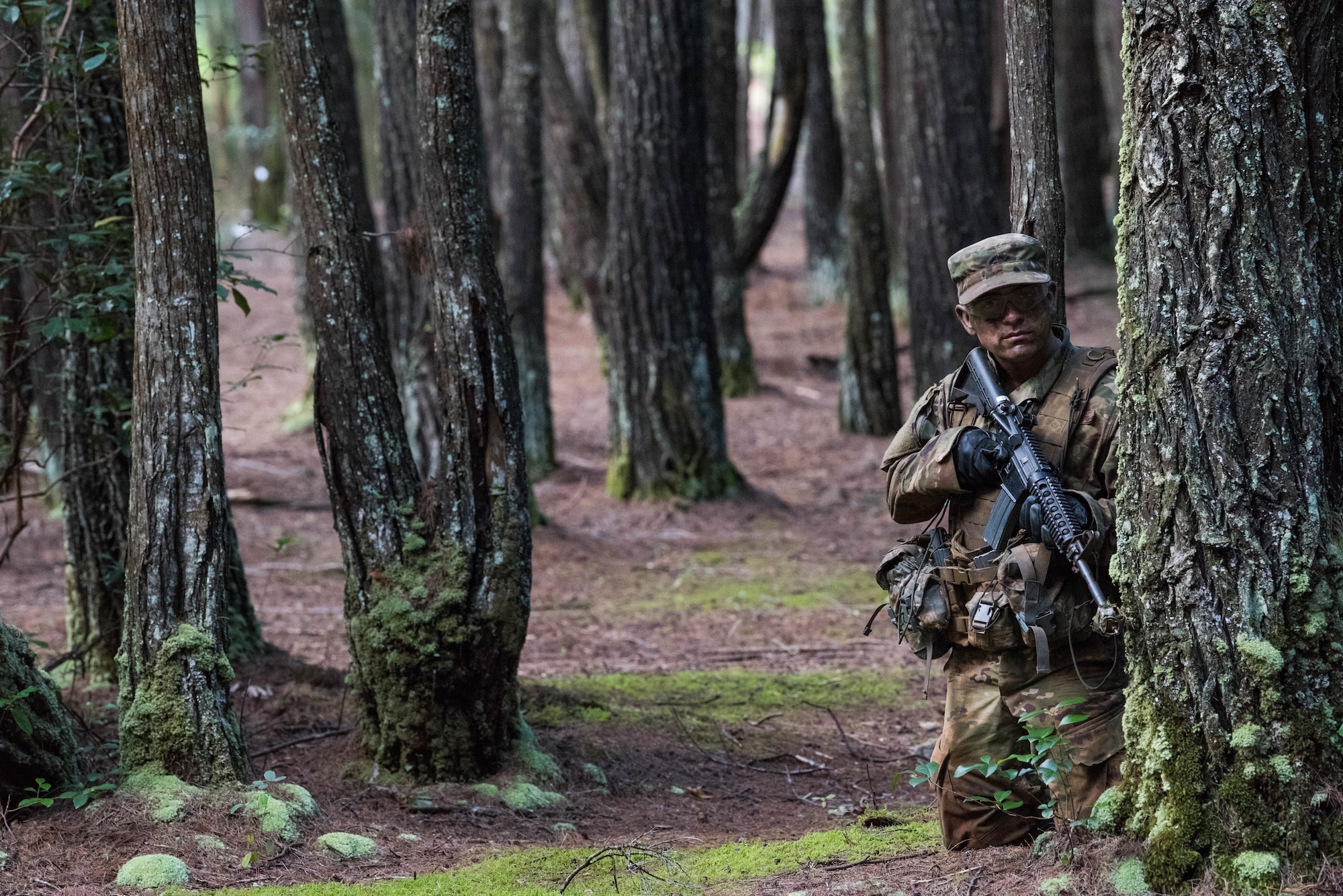 2nd Lt. Sam Good, Ranger Assessment Course student, simulates opposing forces during react to contact drill near Schofield Barracks, Oahu, Hawaii, May 23, 2019. Twenty-three Airmen from across the Air Force recently converged on a training camp for a three-week Ranger Assessment Course May 12-31, 2019. Throughout the course, Airmen were tested on their ability to perform land navigation, ambush, react to contact and squad attacks. Along with those assessments, the students went on runs and marches of different distances – all leading up to a 12-mile ruck march two days before graduation. (U.S. Air Force photo by Staff Sgt. Hailey Haux)