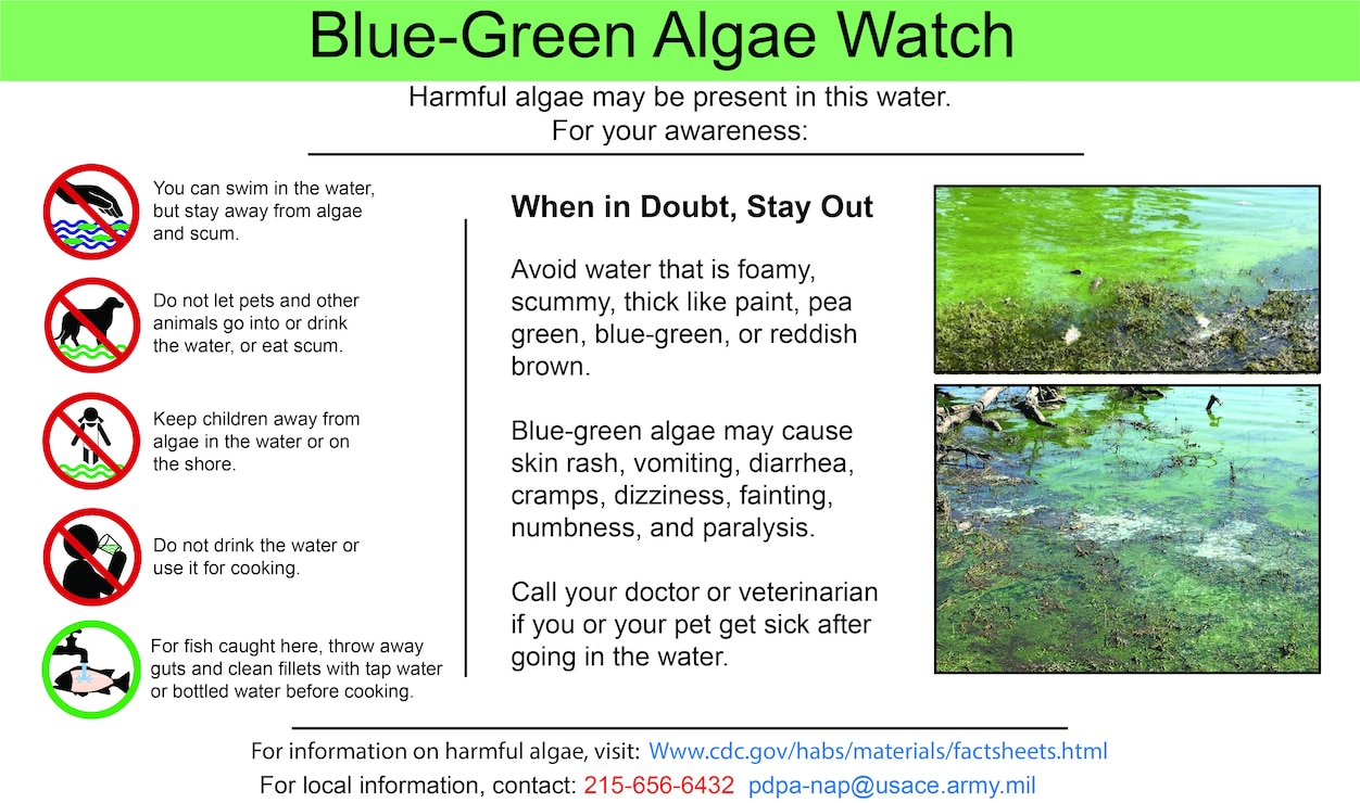 Blue-Green Algae Warning