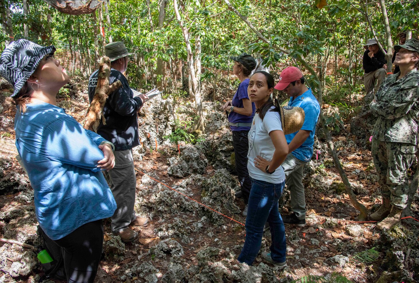 DEDEDO Guam (July 12, 2019) - Senators from the 35th Guam Legislature view the endangered Serianthes nelsonii tree while receiving a brief from Dr. Jim McConnell,  University of Guam, Guam Plant Extinction Prevention Program, during a site visit at Northwest Field in Dededo July 12. At the request of Sen. Tina Muna Barnes, speaker of the 35th Guam Legislature, Rear Adm. Shoshana Chatfield, commander, Joint Region Marianas and a team of Navy and Marine Corps environmental professionals led a senatorial visit to the site of the endangered Serianthes nelsonii tree at Northwest Field.  The group received a briefing from Marine Corps Activity Guam (MCAG) Environmental Director Al Borja and MCAG Natural Resources Specialist Lauren Gutierrez, and saw firsthand the military's commitment to environmental stewardship in the preservation of the island's ecosystem.