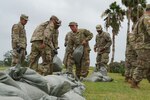Soldiers from the 2225th Multi-Role Bridge Company make preparations for the approaching Tropical Storm Barry by placing sandbags along a levee in Port Sulphur, Louisiana, July 12, 2019.
