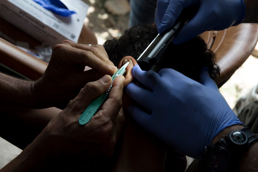 U.S. Army Lt. Col. Manuel Pouparina, Joint Task Force – Bravo Medical Element physician, and Maj. Jorge Chavez, Joint Task Force – Bravo Medical Element preventive medicine nurse, take a tissue sample from a Honduran youth whom contracted Leishmaniasis, during an investigation July 9, 2019, at La Libertad, Honduras. Members of JTF-B were asked by the Honduran Ministry of Health to conduct an investigation into the cause of Leishmaniasis and provide any recommendations that may stop infection. Leishmaniasis is a parasitic disease that is caused by infection with leishmania parasites, which are spread through the bite of sand flies. (U.S. Air Force photo by Staff Sgt. Eric Summers Jr.)
