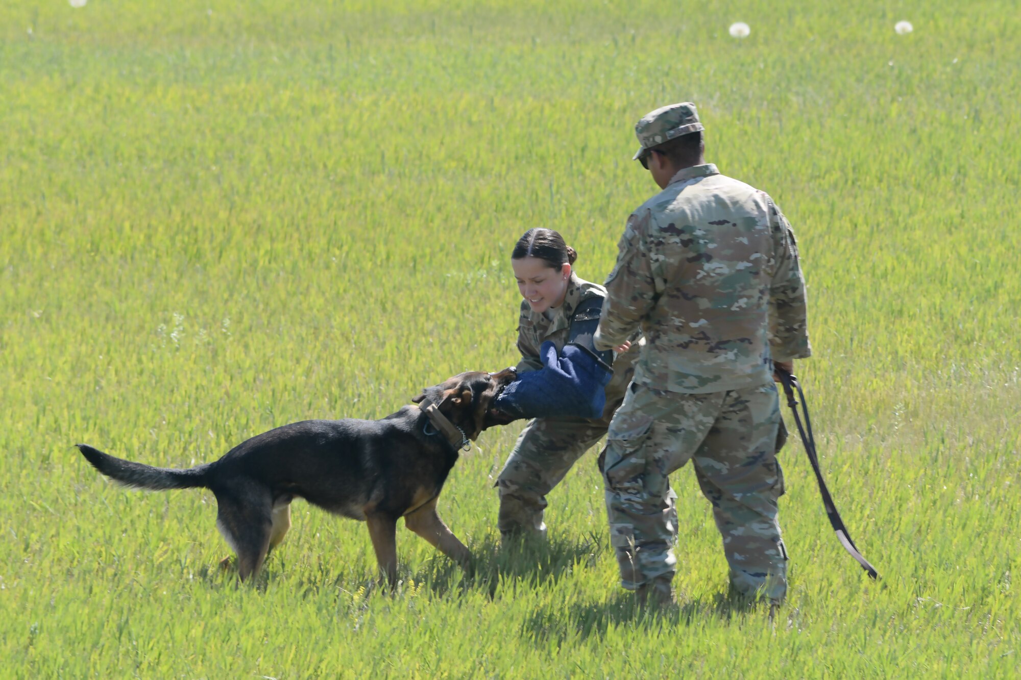 The 341st Security Forces Squadron perform a K-9 team demonstration July 13, 2019, at the “Mission Over Malmstrom” open house event on Malmstrom Air Force Base, Mont.