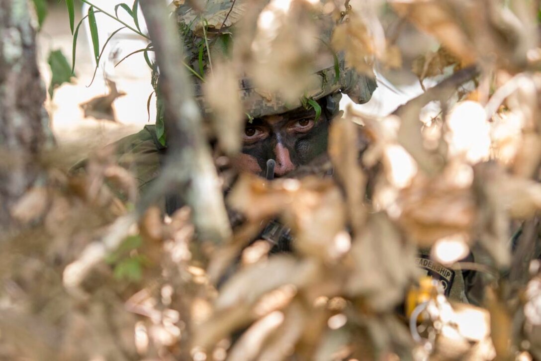 A soldier hides in brush.