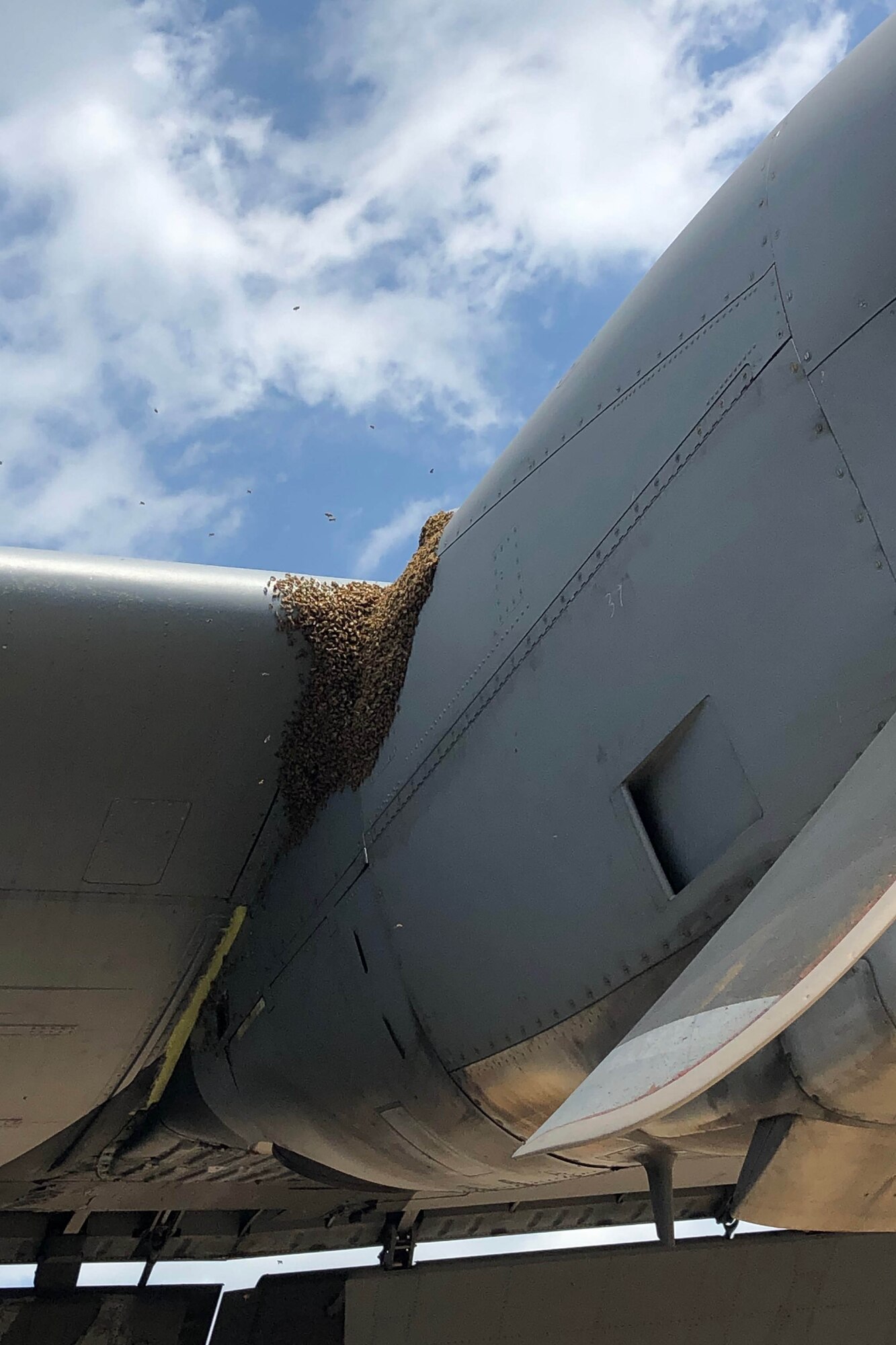 A swarm of bees land on the wing of a C-130J.