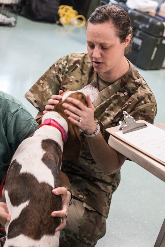 Military medical might: Healthy Cortland IRT in full swing