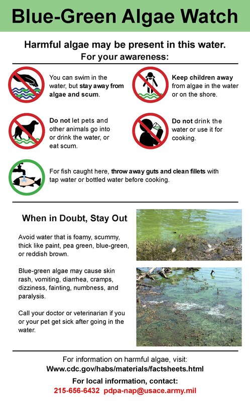 Blue Marsh Lake Algae Advisory