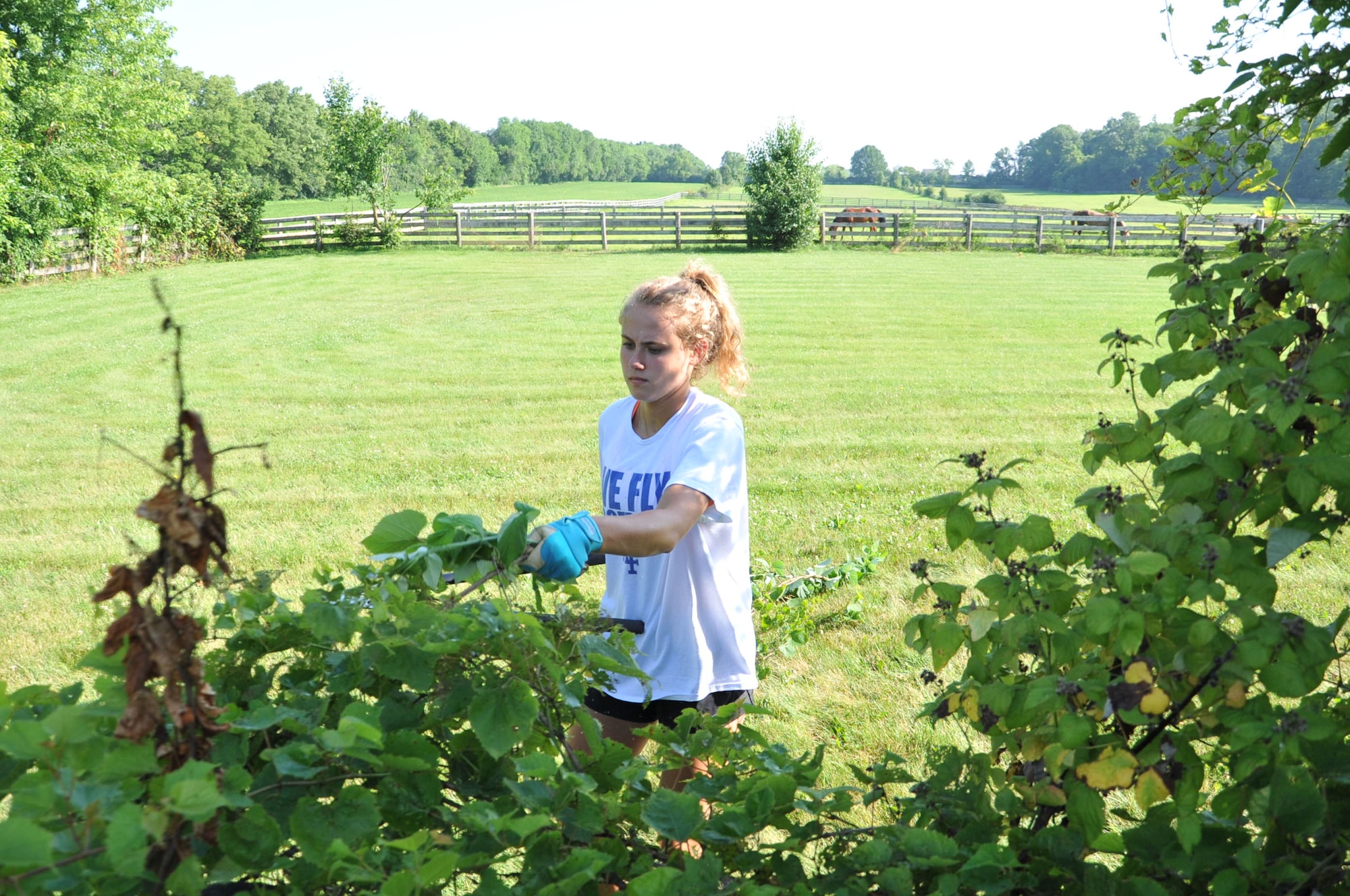 Air Force Academy cadet Andi Ahlers removes vines and wire from a fence at the Therapeutic Riding Institute, while three of the non-profit’s horses explore the adjacent field. She and 19 fellow cadets travelled to Spring Valley, Ohio July 6, to volunteer with the institute to help its new location begin operations. (U.S. Air Force photo/John Van Winkle)