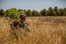 A U.S. Marine with Special Purpose Marine Air-Ground Task Force-Crisis Response-Africa 19.2, Marine Forces Europe and Africa, posts security during a tactical recovery of aircraft and personnel mission rehearsal on Moron Air Base, Spain, July 2, 2019. The rehearsal was conducted to maintain high-response time and proficiency in night operations as a crisis-response force. SPMAGTF-CR-AF is deployed to conduct crisis-response and theater-security operations in Africa and promote regional stability by conducting military-to-military training exercises throughout Europe and Africa. (U.S. Marine Corps photo by Cpl. Margaret Gale)