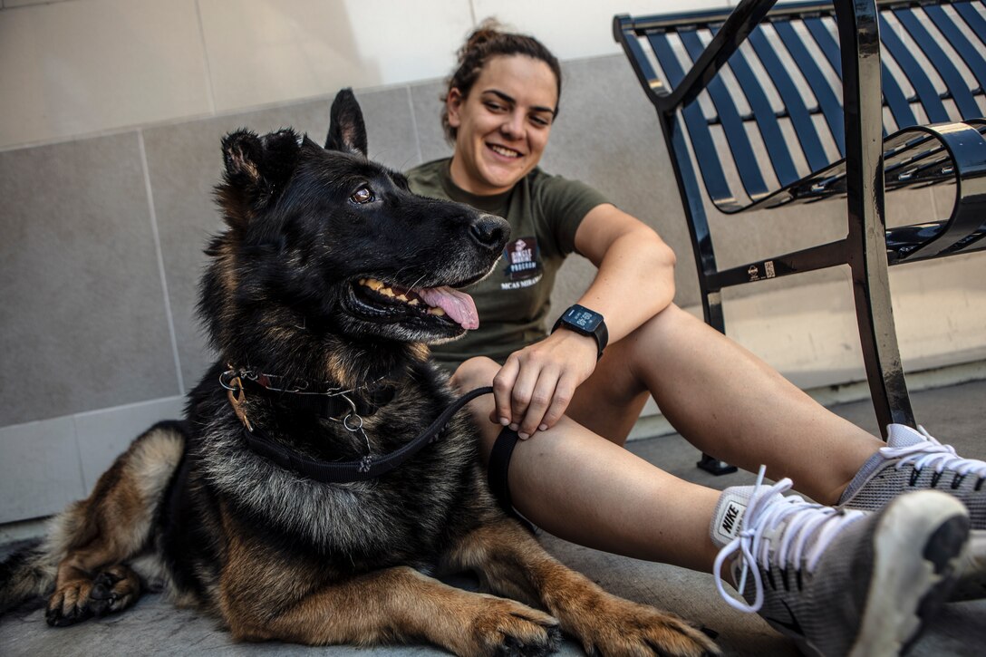 Lance Cpl. Danielle Gauthier, a Marine Corps Air Station Miramar Single Marine Program (SMP) volunteer, sits with Harold, a German shepherd up for adoption during an adoption event at San Diego, July 20. Marines with the MCAS Miramar SMP assisted in setting up the event, walking and feeding the dogs, as well as speaking to people who were interested in adopting a German shepherd. (U.S. Marine Corps photo by Sgt. Jake McClung)
