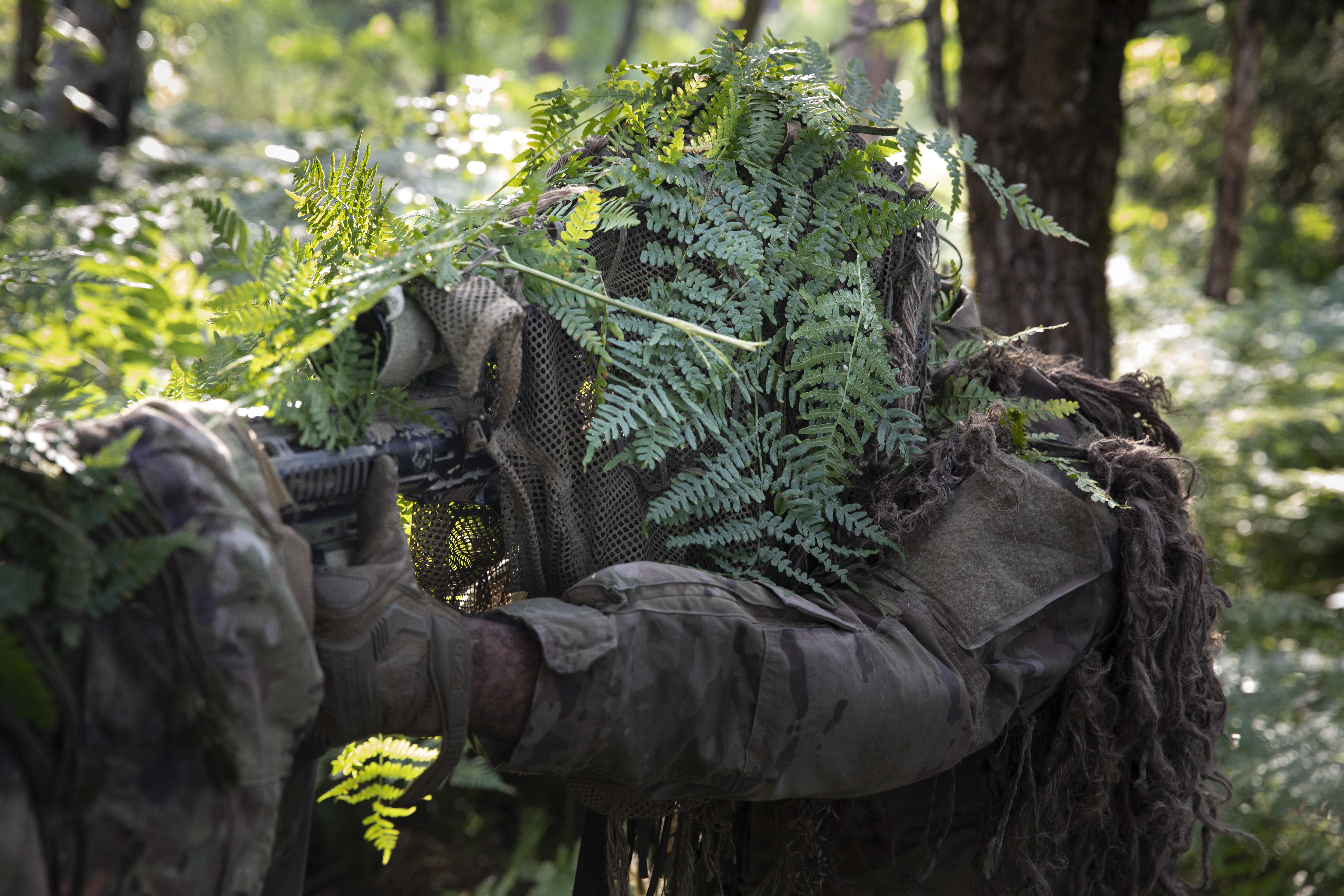 Новости направления работино. Самый опасный снайпер в мире. Самые лучшие Снайперы в мире за всю историю. Снайпер в лесу в Грузии.