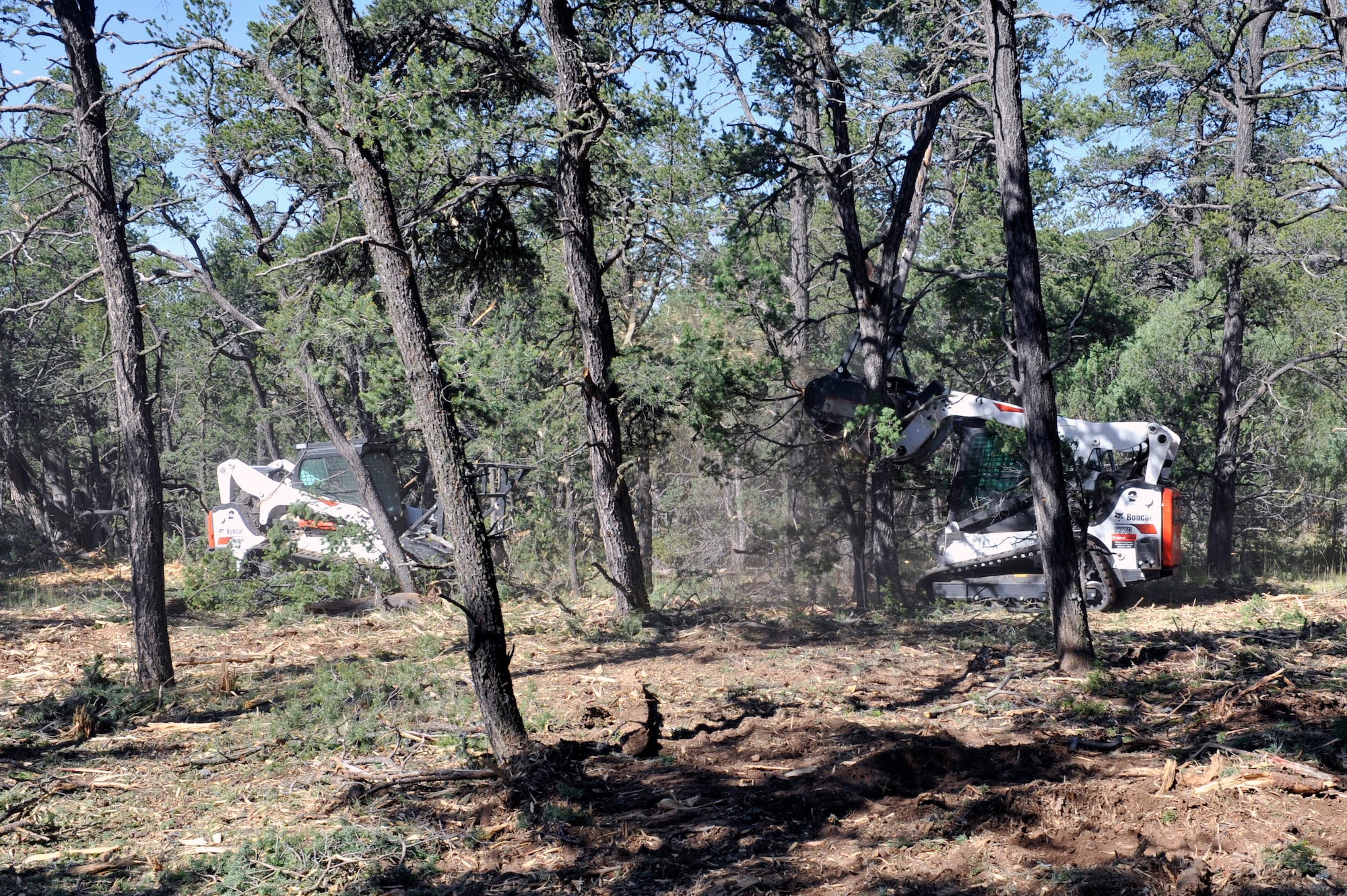 Two members of the Kirtland’s Wildland Support Module use skid steer loaders to masticate overgrowth in the eastern-most remote forest area of Kirtland Air Force Base, N.M., July 18, 2019. The team of six wildland firefighters have thinned out 70 acres of forest expanding on the initial fuel breaks that were created since the project broke ground in spring of 2019.  (U.S. Air Force photo by Staff Sgt. Dylan Nuckolls)