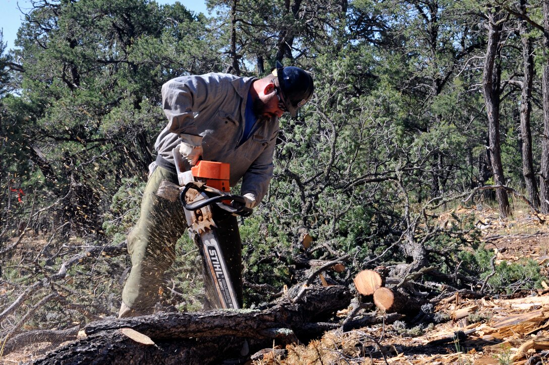 Greg Valdez, Kirtland’s assistant Wildland Support Module lead, cuts a tree with a chainsaw in the eastern-most remote forest area of Kirtland Air Force Base, N.M., July 18, 2019. A team of six wildland firefighters have thinned out 70 acres of forest expanding on the initial fuel breaks that were created since the project broke ground in spring of 2019. (U.S. Air Force photo by Staff Sgt. Dylan Nuckolls)